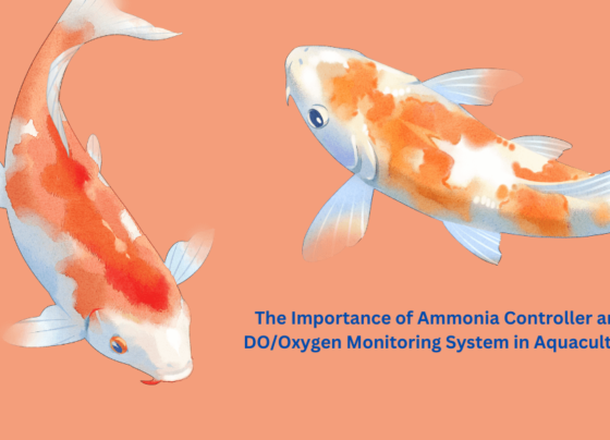 The Importance of Ammonia Controller and DOOxygen Monitoring System in Aquaculture