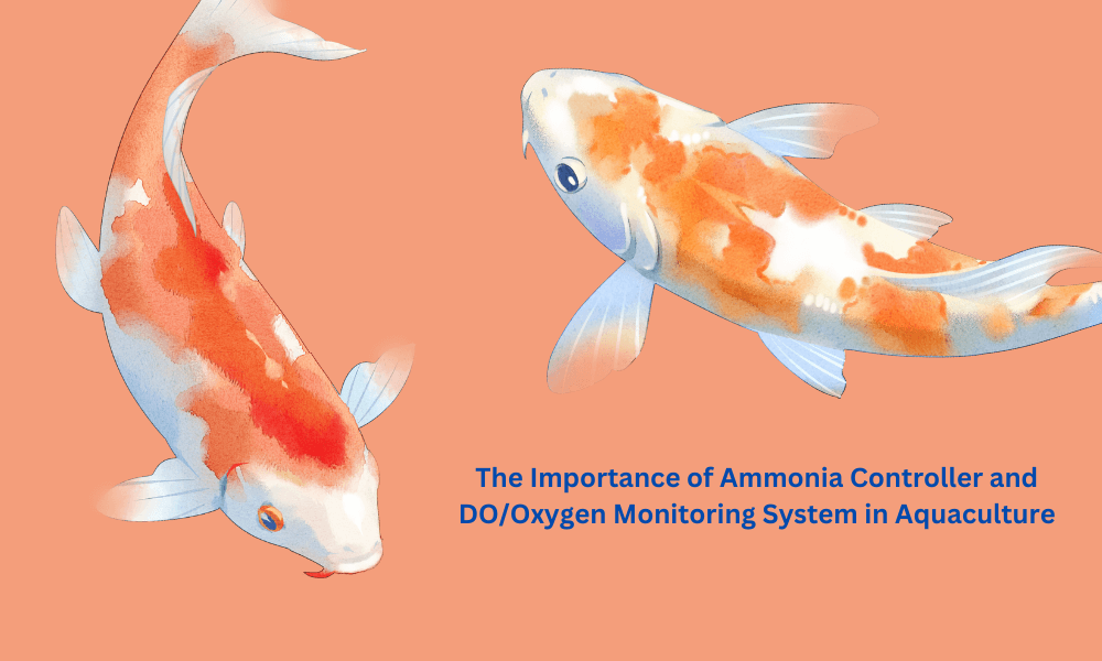 The Importance of Ammonia Controller and DO/Oxygen Monitoring System in Aquaculture