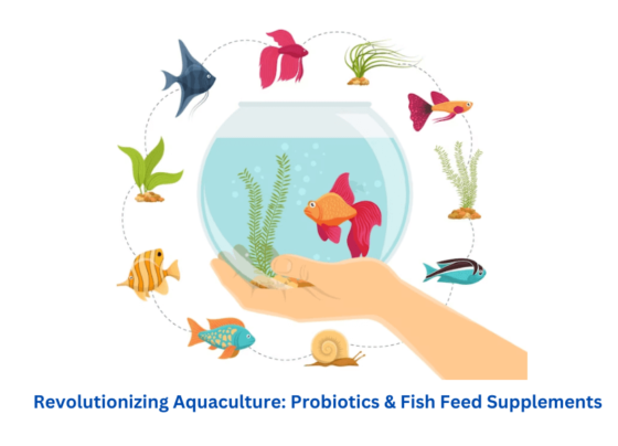 Probiotics & Fish Feed Supplements