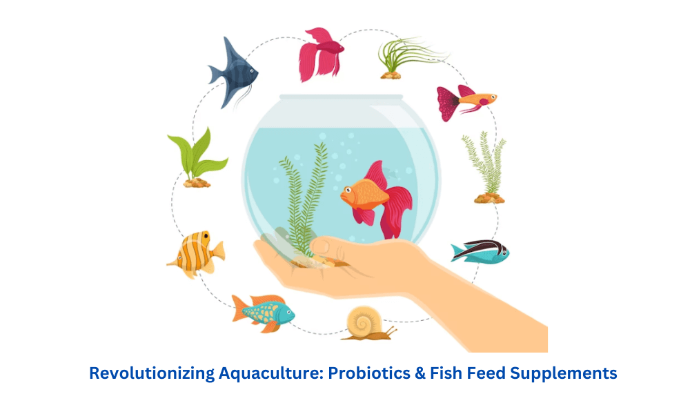 Revolutionizing Aquaculture: Probiotics & Fish Feed Supplements